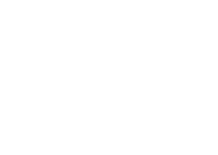 lpa logo initiale blanc