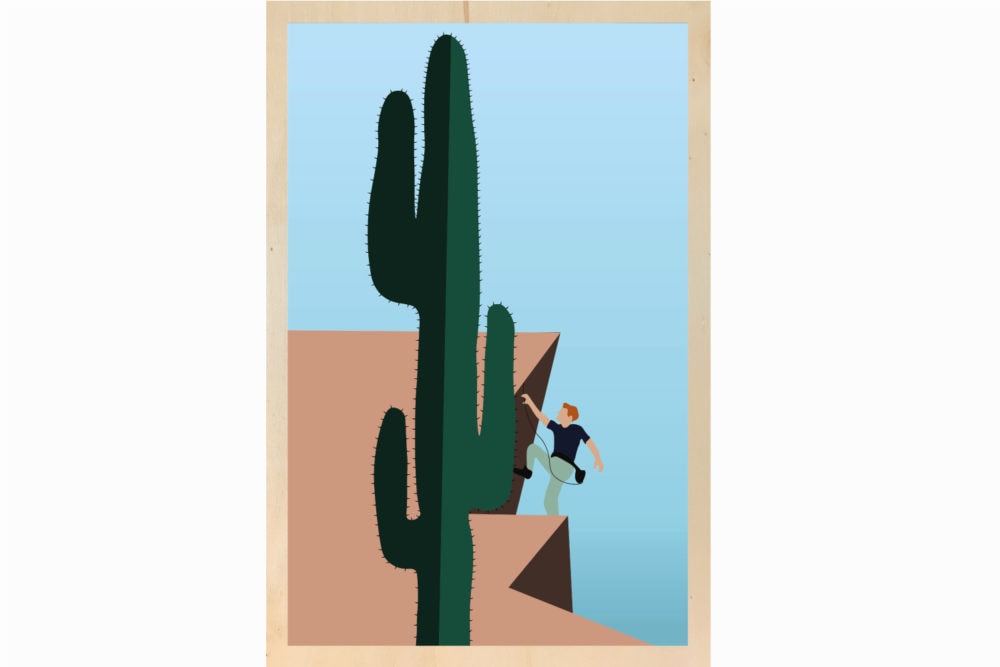 Climbing the cactus